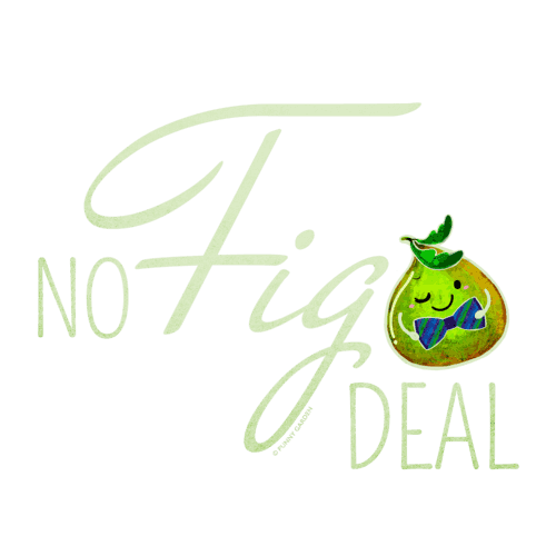 Cute illustration of a fig character with pun: No Fig Deal