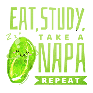 Eat Study Take A Napa, Repeat Drawing of a silly napa resting with the pun: Eat, Study, Take a Napa, Repeat