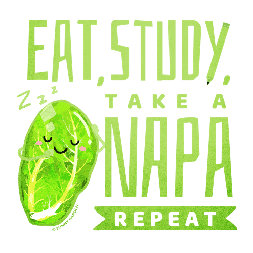 Drawing of a silly napa resting with the pun: Eat, Study, Take a Napa, Repeat
