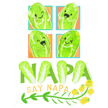 Napa Say Napa Design Illustration: Napa Say Napa